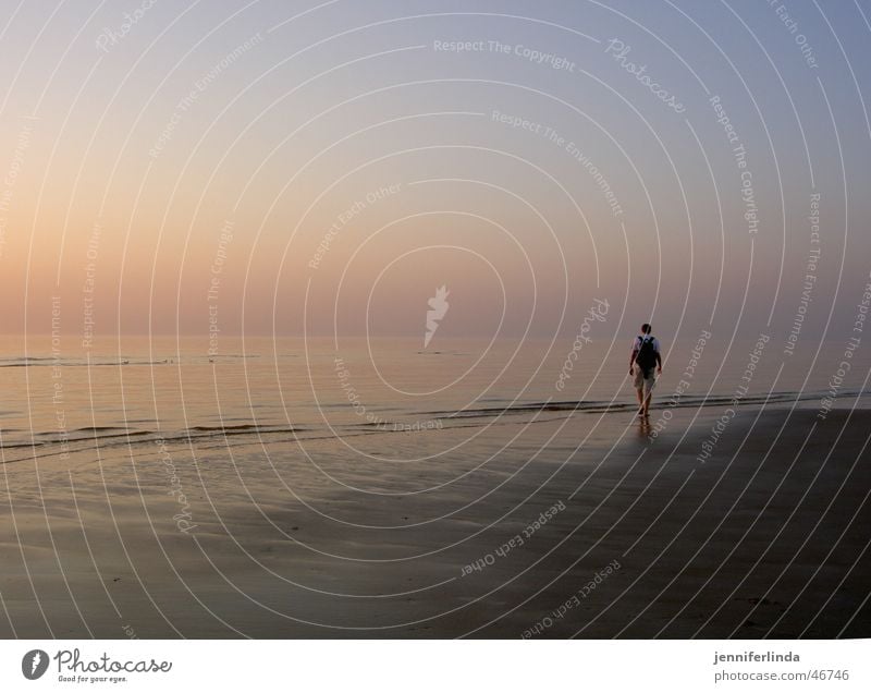 beloved in the sunset Sonnenuntergang Meer Pastellton Strand Einsamkeit Erholung ruhig Nordsee Ferne