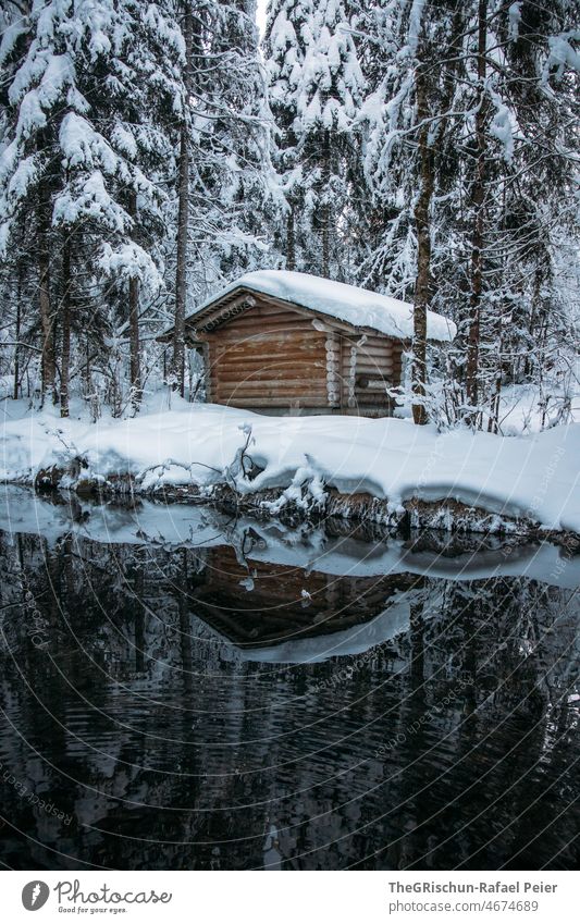 Chalet am See in verschneiter Landschaft Wald Haus Cottage romance Spiegelung Bäume Baum Schnee Winter Schweiz