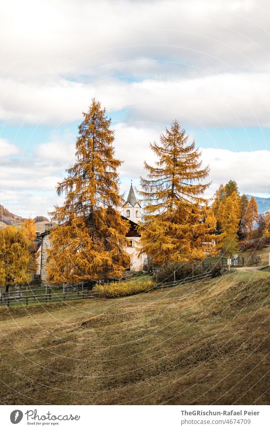 Lerchen im Herbst vor Engadinder Dorf Wiese Wald Scuol Kirche Farbfoto Menschenleer Berge u. Gebirge Landschaft Natur Außenaufnahme Himmel Tag Baum Feld