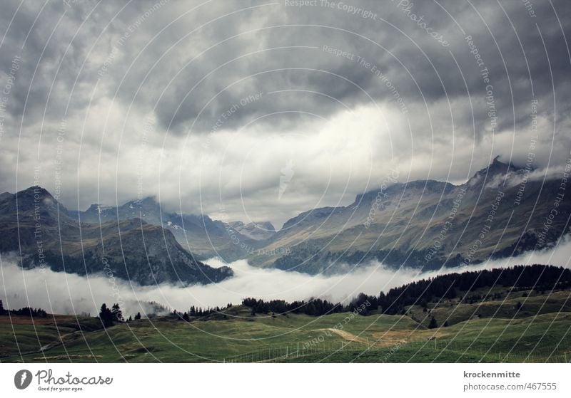 z'Alp Umwelt Natur Landschaft Himmel Wolken Gewitterwolken Baum Gras Grünpflanze Wiese Hügel Alpen Berge u. Gebirge Gipfel Schneebedeckte Gipfel wandern