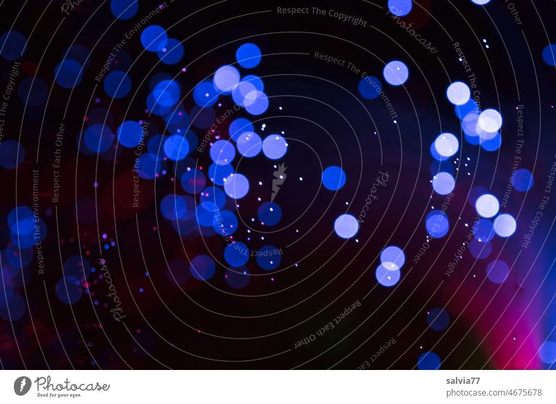 Blaulicht Lichtspiel Lichteffekt Lichtkunst Kunst Glasfaserlampe Lichterscheinung Experiment Kunstlicht Farbfoto leuchten abstrakt Lichtkugeln Nacht
