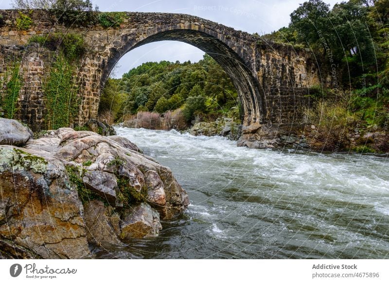 Gewölbebrücke über den schnellen Fluss Brücke gewölbt schäbig alt Wasser Flussufer Natur Baum Extremadura Ufer Hafengebiet Spanien malerisch wild Sommer grün