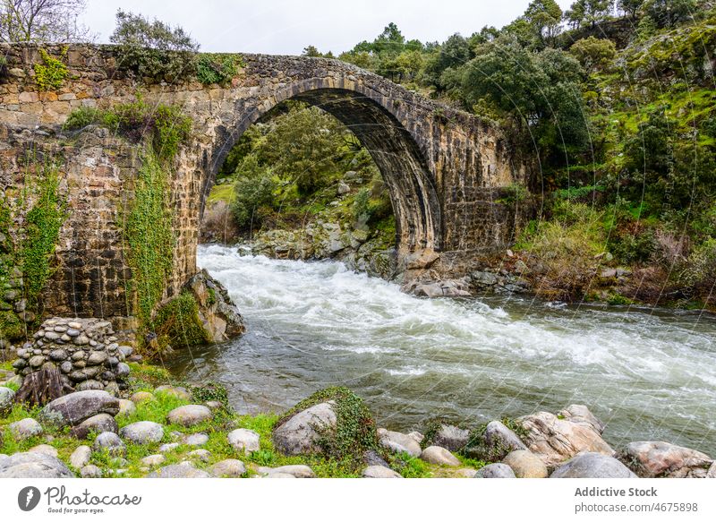 Gewölbebrücke über den schnellen Fluss Brücke gewölbt schäbig alt Wasser Flussufer Natur Baum Extremadura Ufer Hafengebiet Spanien malerisch wild Sommer grün