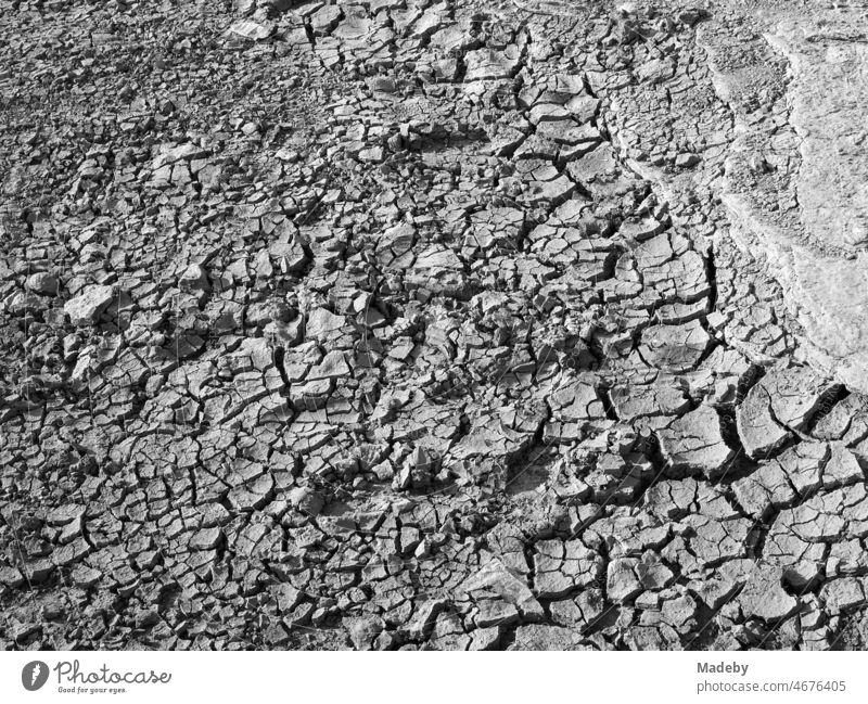 Rissiger Erdboden im Sommer bei Sonnenschein und großer Trockenheit an den Rosa Felsen in Kefken an der Küste des Schwarzen Meer in der Türkei, fotografiert in klassischem Schwarzweiß