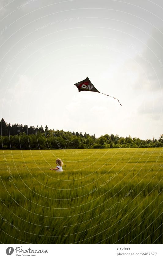 drachenwetter!! Lenkdrachen Drachen steigen feminin Kind Mädchen Kindheit 1 Mensch 3-8 Jahre Umwelt Natur Sommer Herbst Feld laufen rennen frei Fröhlichkeit