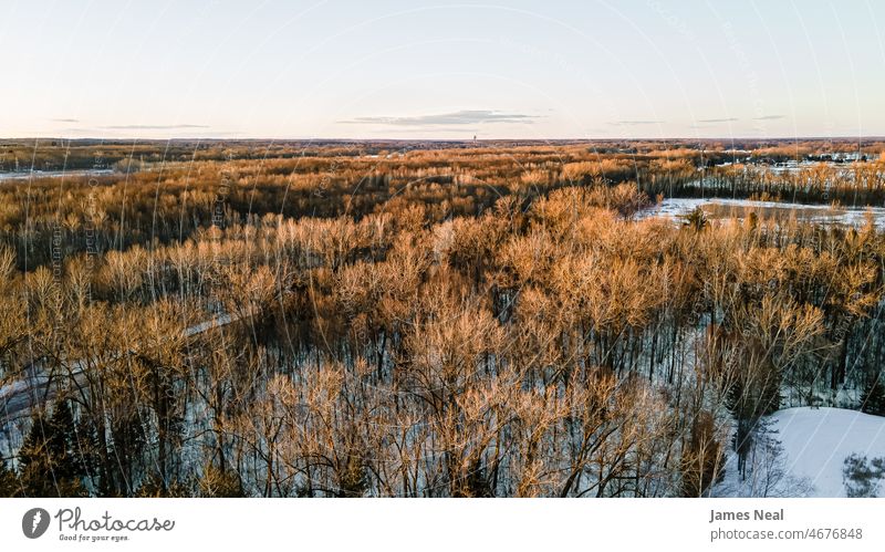 Schneebedeckte Landschaft mit Sonnenuntergang beleuchtet Bäume Gras natürlich grasbewachsen keine Menschen hoirzon Tag Wiese Klarer Himmel Hintergrund orange