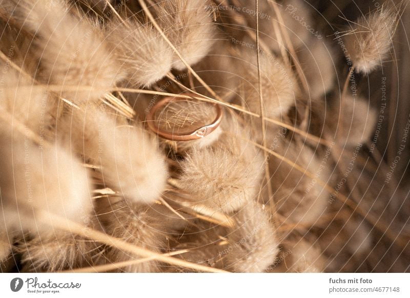 Ring mit Herz. Rotgold Liebe Romantik Farbfoto Schmuck rot Glück Ehering Makroaufnahme Außenaufnahme Verliebtheit Hochzeit Detailaufnahme Menschenleer Tag