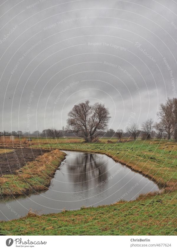 Grauer Wintertag auf dem Land mit Baum grau Fluss Spiegelung Reflexion & Spiegelung Wasser Natur Landschaft Außenaufnahme Menschenleer Umwelt Flussufer Himmel