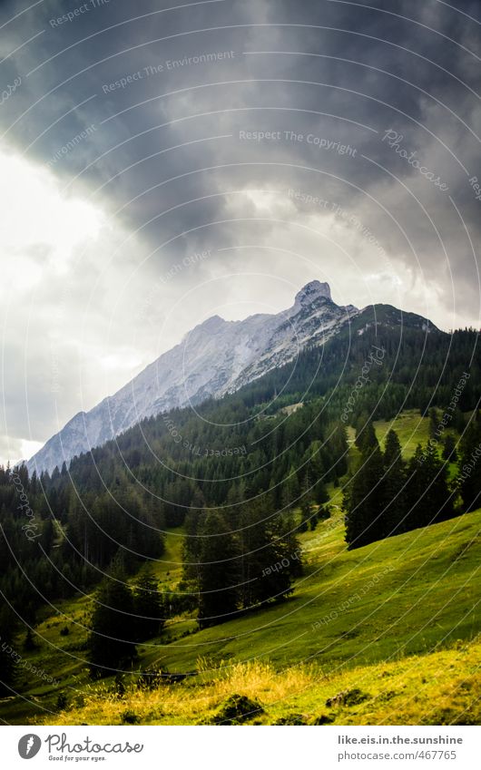 postkartengrüße aus tirol: 1€ harmonisch Wohlgefühl Zufriedenheit Sinnesorgane Erholung ruhig Ferien & Urlaub & Reisen Ausflug Ferne Freiheit Umwelt Natur