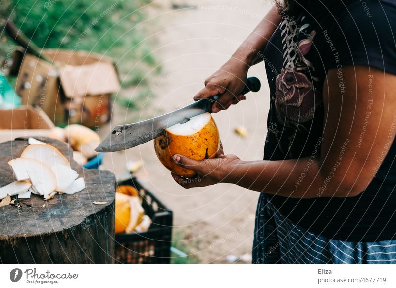 Öffnen einer Kokosnuss mit einem Säbel am Straßenrand in Sri Lanka King Coconut Asien öffnen tropisch Mensch Trinkkokosnuss lecker