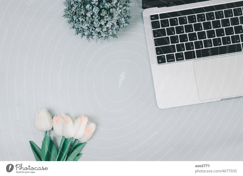 Computer-Laptop und Blume auf dem Schreibtisch.flat lay mit Kopie Raum. Business Büro modern blanko Keyboard Arbeit Technik & Technologie Desktop weiß