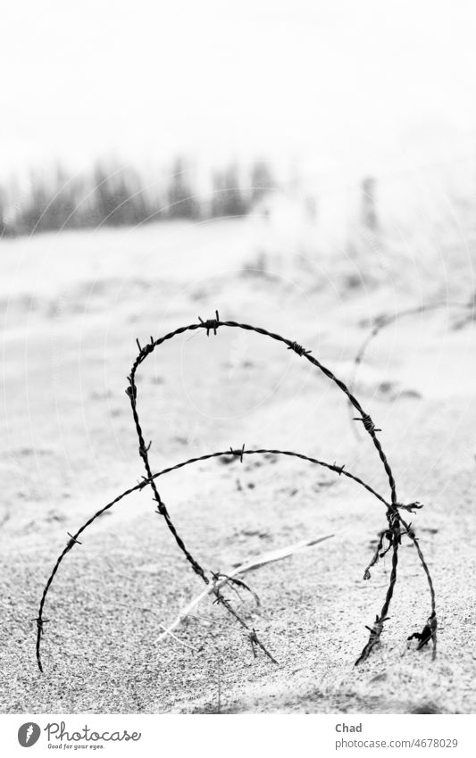 Stacheldraht am Strand Draht Grenze Angst Verletzung Schwarzweißfoto schwarz weiß Kreis Spirale Sand Düne Kontrast Depression Zaun Abgrenzung Gefahr