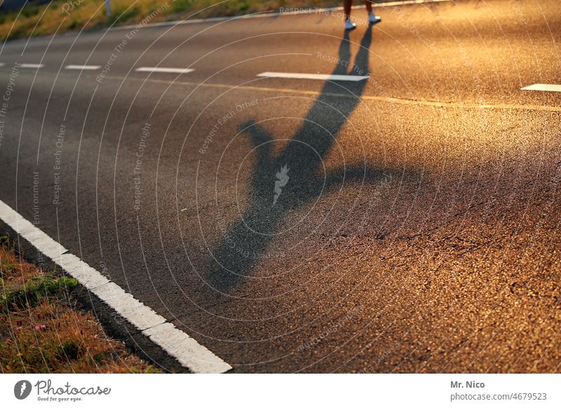 walking (sun)down the streets Schatten Straße Wege & Pfade Verkehrswege Licht & Schatten Sonnenlicht Sonnenuntergang Fahrbahnmarkierung Asphalt Lifestyle