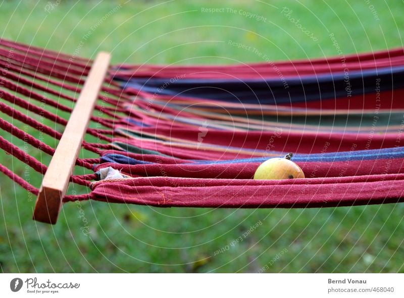 Hängen und Fallen Freizeit & Hobby Garten Herbst Apfel blau braun grün rot weiß Hängematte Ernte trüb schlechtes Wetter gefallen Frucht Fallobst herbstlich nass