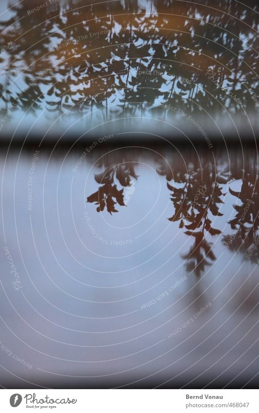 nasse terrasse Terrasse blau braun grau grün schwarz herbstlich Herbst Wasser Regenwasser Baum Blatt Fuge Holz Unschärfe trüb Traurigkeit dunkel auf dem Kopf