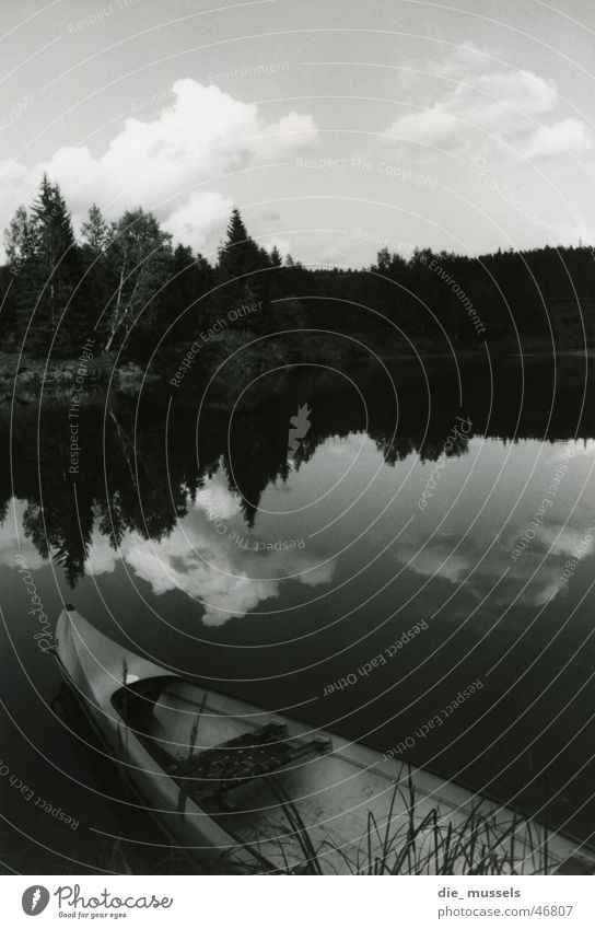 spiegelsee See Spiegel Wasserfahrzeug Wald Schwarzweißfoto