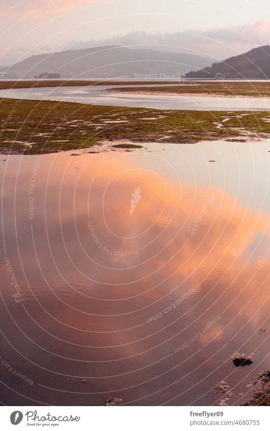 Sumpf mit Schlamm bei Sonnenuntergang Sumpfgebiet Feuchtgebiete Torf Natur Landschaft Flora Fauna Umwelt grün tiefstehend Gezeiten Röhricht Panorama im Freien