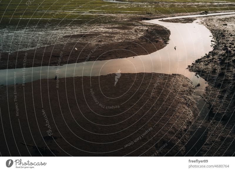 Feuchtgebiete mit einem Fluss und einigen Vögeln Torf Schlamm Natur Landschaft Flora Fauna Umwelt grün tiefstehend Gezeiten Röhricht Sumpfgebiet Panorama