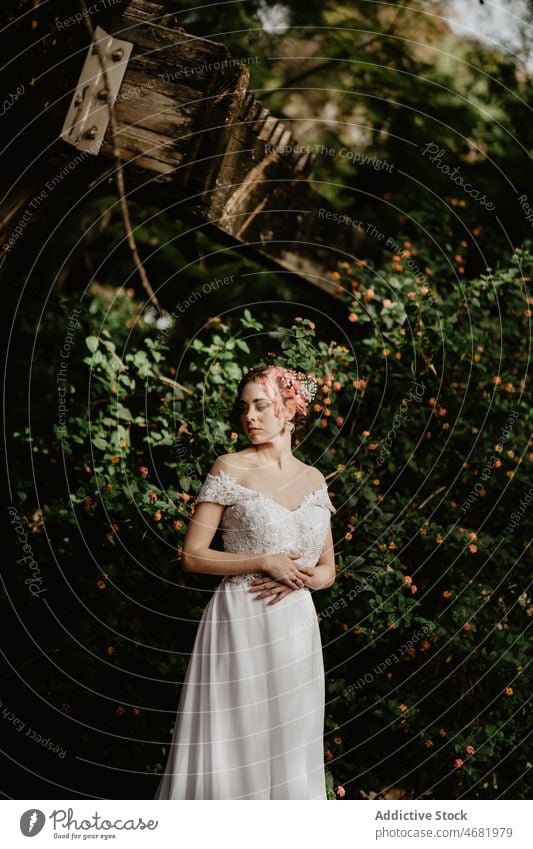 Junge Braut in der Nähe von Busch im Garten Frau Hochzeit Strauch Festakt Tradition romantisch feiern Kleid Stein Buchse Sommer elegant üppig (Wuchs)