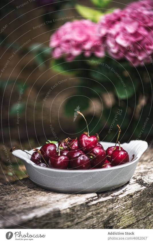 Schale mit Kirschen auf Baumstamm Totholz Landschaft Blume Vitamin natürlich organisch ländlich Ernährung hölzern gesunde Ernährung Geschmack geschmackvoll