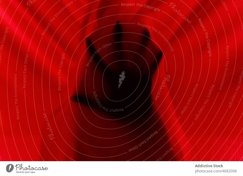Gesichtslose Person, die sich nachts hinter Vorhängen versteckt Tierhaut Hand Gardine rätselhaft Nacht dunkel Körperteil geheimnisvoll Rätsel Balkon spukhaft