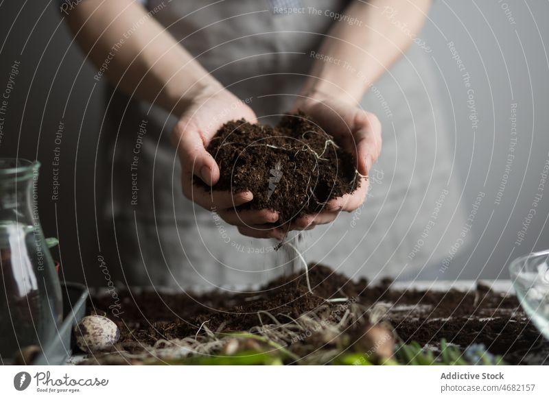 Gärtnerin pflanzt Blumensetzlinge in Töpfe Frau Pflanze Frühling Boden kultivieren geblümt Aussaat Topf natürlich Pflege Botanik Flora Tisch Keimling Gartenbau