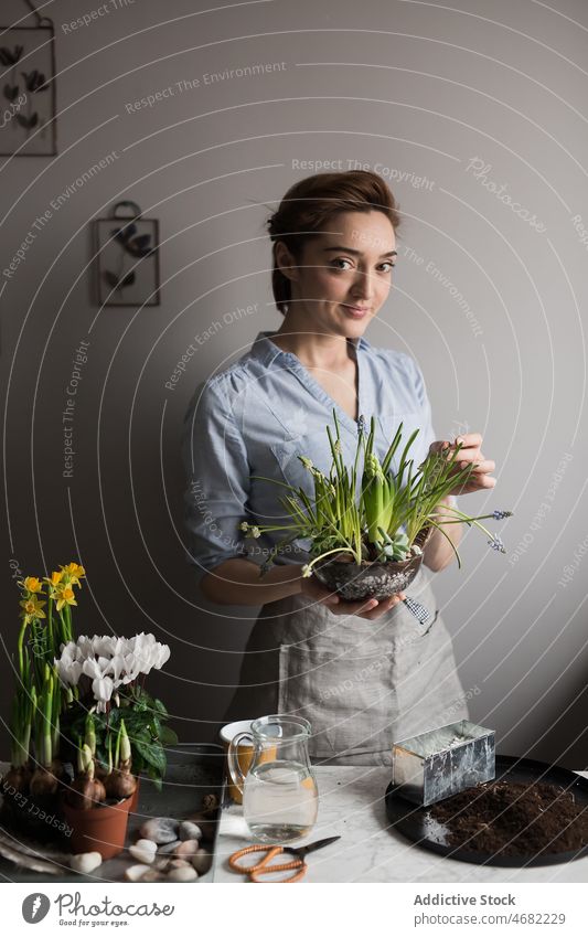 Lächelnder Gärtner mit Frühlingsblumen am Tisch Frau Pflanze eingetopft Blume Saison heimwärts Inhalt heiter verschiedene kultivieren sortiert Schürze frisch