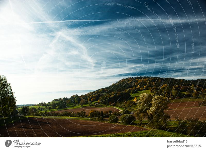 Herbstlicht Freude Wellness Wohlgefühl Erholung ruhig Meditation Duft Kur Ferien & Urlaub & Reisen Tourismus Ausflug Freiheit Fahrradtour Berge u. Gebirge