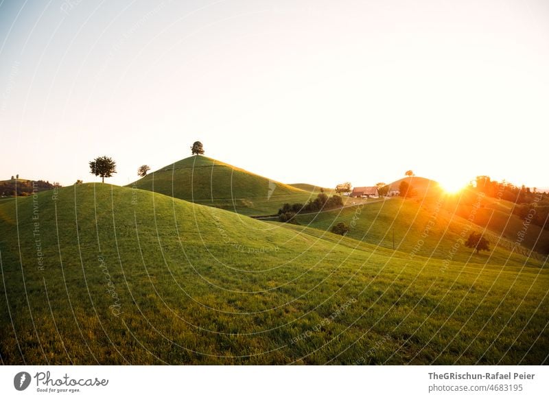 Sonnenuntergang vor Hügel hirzel gegenlicht Bäume Hof Stall Gras Wiese Sonnenlicht Stimmung hügelig Schweiz