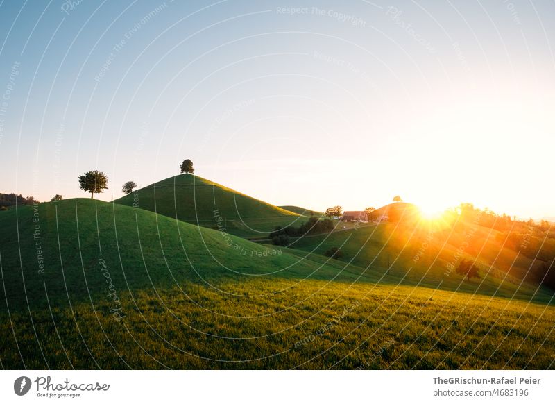 Sonnenuntergang vor Hügel hirzel gegenlicht Bäume Hof Stall Gras Wiese Sonnenlicht Stimmung hügelig Schweiz