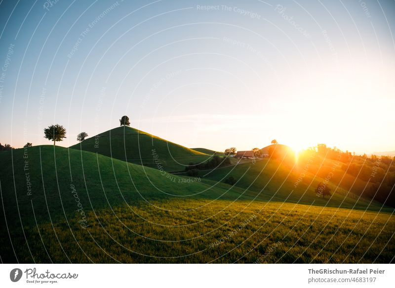 Sonnenuntergang vor Hügel hirzel gegenlicht Bäume Hof Stall Gras Wiese Sonnenlicht Stimmung hügelig Schweiz