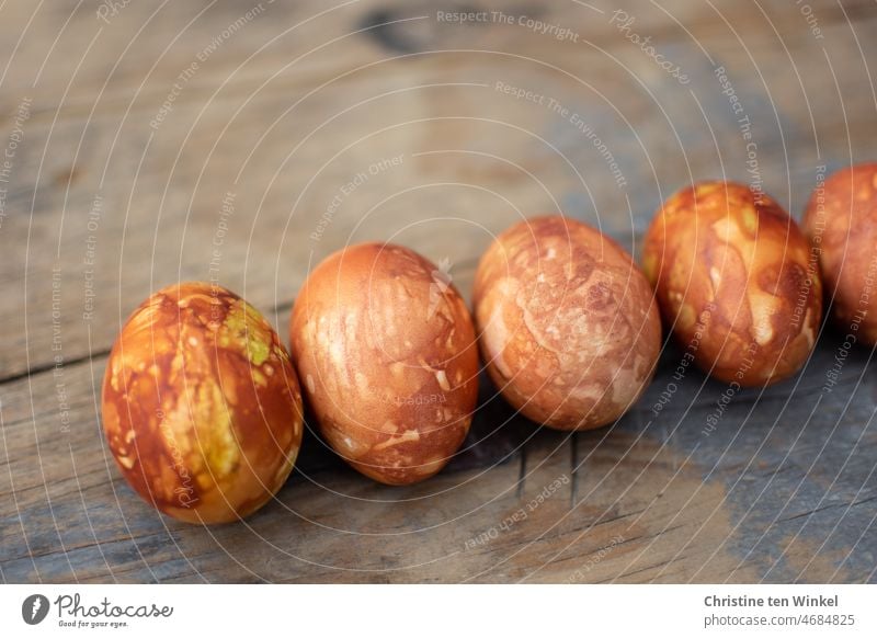 Fünf Ostereier, mit Zwiebelschalen gefärbt, liegen nebeneinander auf einem alten verwitterten und mit grau blauer Farbe angemalten Holzbrett gefärbte Eier