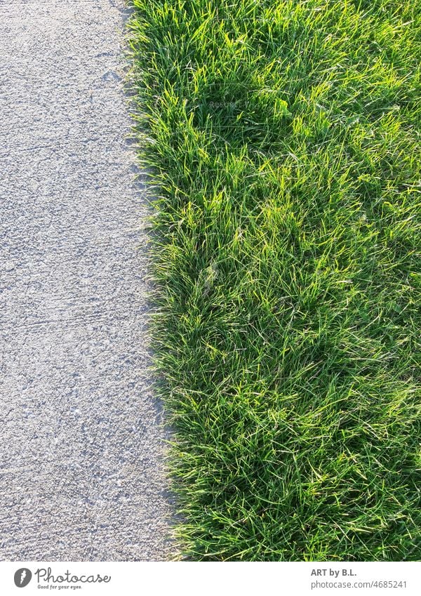 ungerecht geteilt.... rasen gras asphalt strasse natur grün grau struktur beton