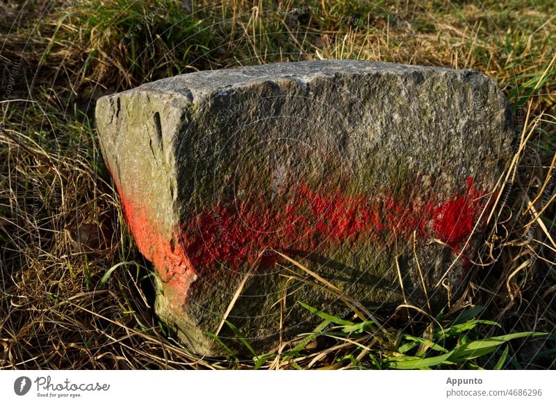 Felsquader mit roter Markierung Felsen Stein Grenzstein Quader Wegrand Außenaufnahme Farbfoto Schilder & Markierungen Tag Linie Zeichen Feld Wiese Licht Sonne