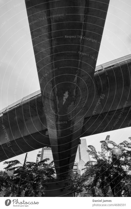 Bangkok Skytrain Überführung Hochstraße Beton Struktur Öffentlicher Personennahverkehr Infrastruktur Tiefbau Brücke Kurve Schienenverkehr Schwarzweißfoto Himmel