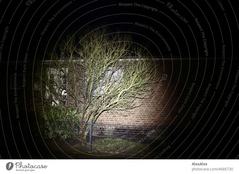 Einfamilienhaus aus Ziegelsteinen mit geschlossenen Jalousien in der Nacht mit einem Spot teilweise beleuchtet Haus Baum kalt dunkel Stäucher Schatten nachts