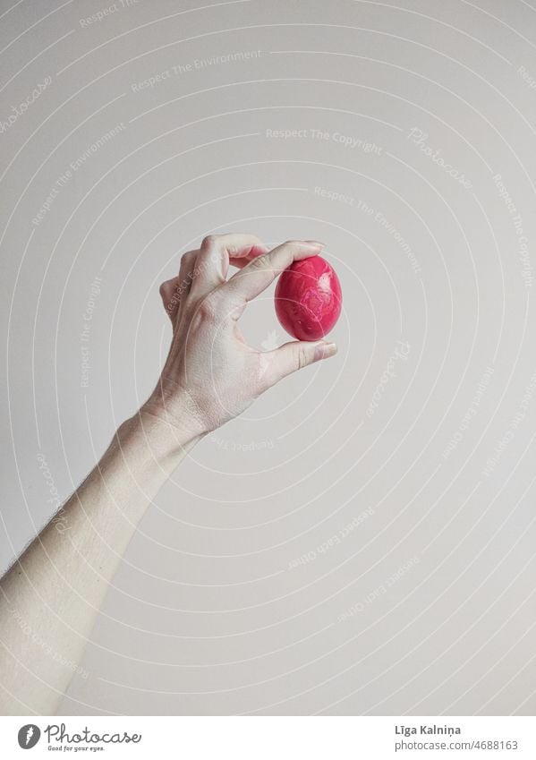 Hand hält rotes Osterei Ostern Frühling Ei Feste & Feiern Ostereier Eier Tradition Dekoration & Verzierung Farbfoto mehrfarbig Eierschale Osternest Textfreiraum