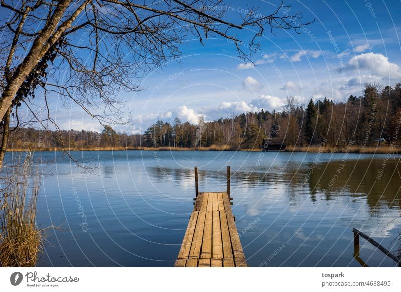 Badesee Wasser Steg blau Himmel Tag Ruhe Sonne Wetter See Baden Schwimmen Winter Natur Sommer Außenaufnahme Schönes Wetter Landschaft Menschenleer