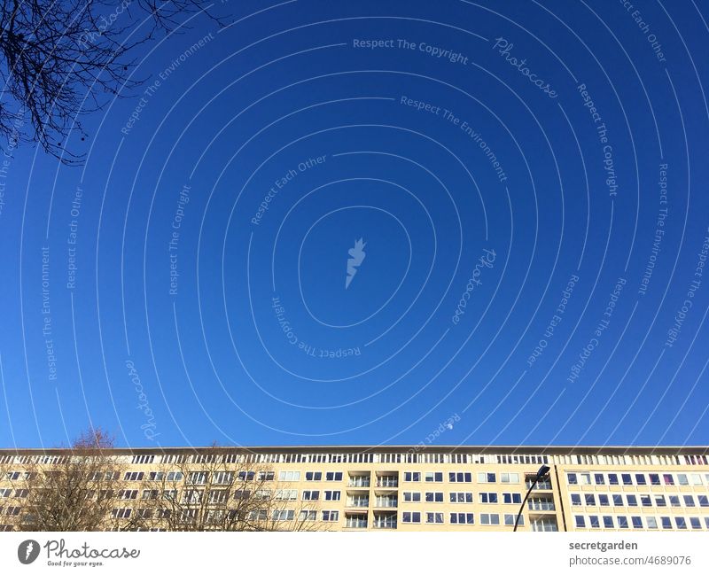 Textfreiraum oben Himmel Hambug Wolkenloser Himmel wolkenlos Freiheit Frühling Architektur Gebäude Wohnung Hochhaus Grindelhochhaus Außenaufnahme Stadt Fassade