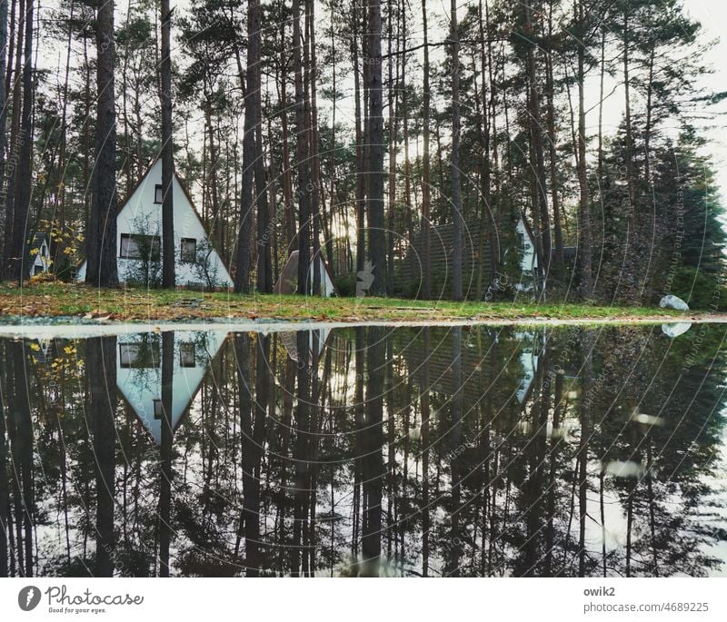 Δ Wald Baumstämme Feriensiedlung Bungalows Außenaufnahme Erholung Natur Farbfoto einfach Landschaft Ferienhaus Dachschräge Ferienhütte Dreieck Umwelt