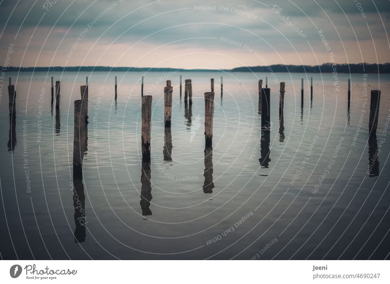 Pfähle im See Wasser Pfahl Holz Ankerplatz Himmel Natur festmachen Anlegestelle Spiegelung Reflexion & Spiegelung Seeufer Dämmerung blau Horizont Idylle Abend