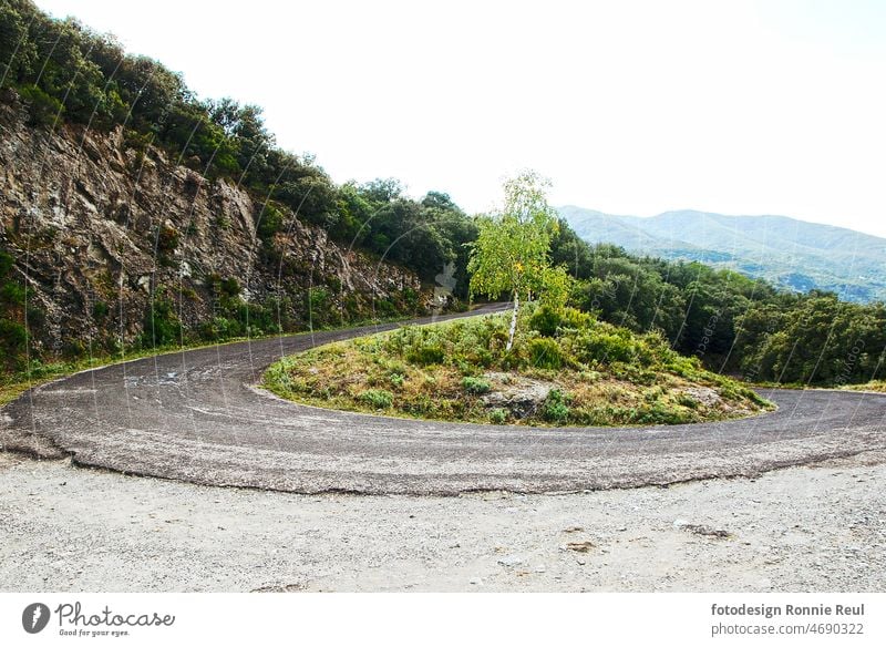 Kurve einer einsamen Bergstraße in den Pyrenäen. Straße Asphalt Frankreich Berge Gebirge Wald Steigung Vegetation Birke Felsen Straßenschäden