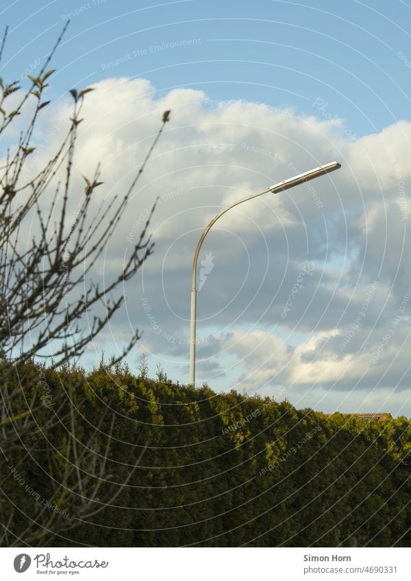 Straßenlaterne hinter Gebüsch Tageslicht Laterne Straßenbeleuchtung Busch Vorstadt Wolken Beleuchtung Zivilisation Aufklärung Außenaufnahme Licht Himmel