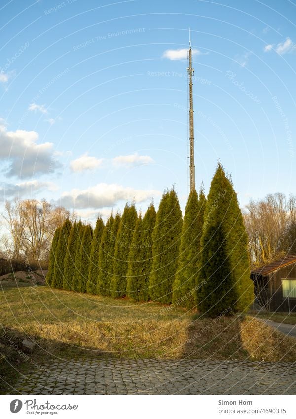 Sendemast und Gebüsch Busch Kommunikation Netzwerk Reihe Technik & Technologie Agrarwirtschaft Antenne Natur Himmel Wolken Radio Sender Übertragung