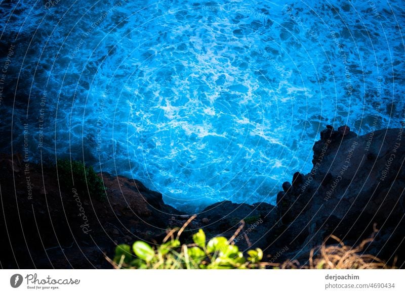 Blick in die Wasserhölle. Büsche, Felsen und stark sprudeldes Meerwasser. Nahaufnahme blau Wellen Farbfoto Menschenleer Natur Tag Sommer Licht Gischt Küste