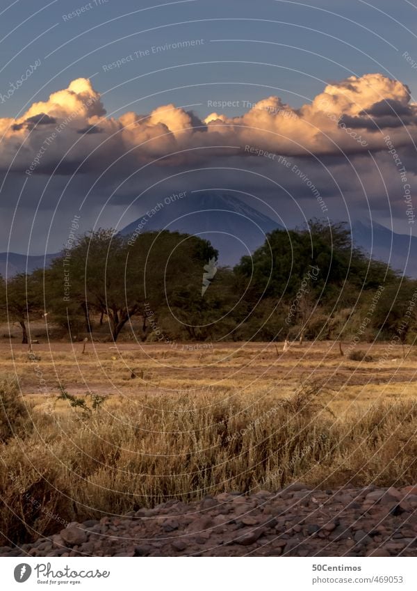 Abenddämmerung in der Wüste von San Perdo de Atacama, Chile Tourismus Abenteuer Ferne Freiheit Berge u. Gebirge Umwelt Landschaft Himmel Wolken Gewitterwolken