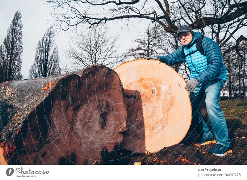 Älterer Herr steht neben einem gef#llten Baum Landschaft Außenaufnahme Textfreiraum unten Textfreiraum links Textfreiraum oben Strukturen & Formen