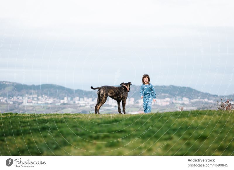 Mädchen spielt mit Hund auf Rasen Kind spielen amerikanischer Pitbull-Terrier Tier Haustier spielerisch Säugetier Zeitvertreib Stammbaum züchten niedlich