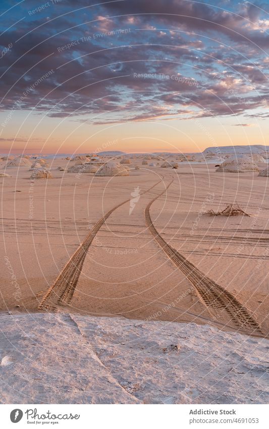 Pfad auf sandigem Boden in der Wüste wüst weiß Felsen Formation trocken Natur national Sand Nachlauf Fahrspur Park Mark Bahn trocknen erwärmen Örtlichkeit