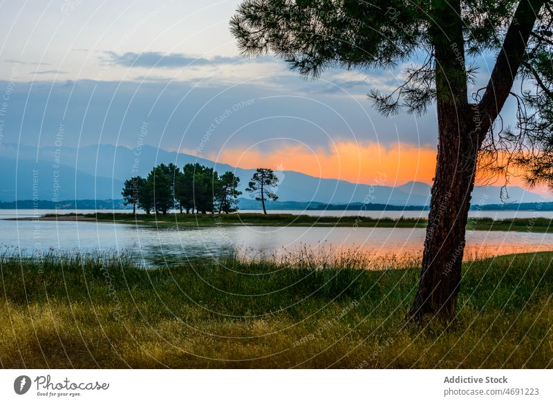 Bäume wachsen am Seeufer unter Sonnenuntergang Himmel auf dem Lande Baum Natur Landschaft Hochland friedlich Wiese Tal malerisch Berge u. Gebirge wolkig